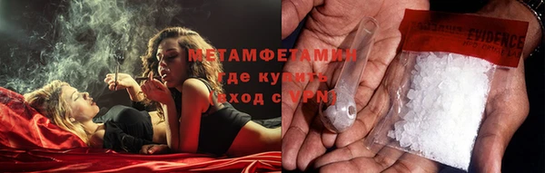 прущие грибы Богородицк