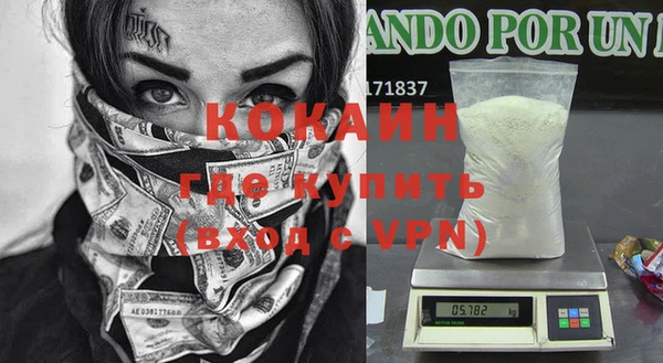 прущие грибы Богородицк
