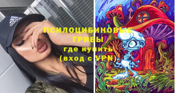 spice Богданович