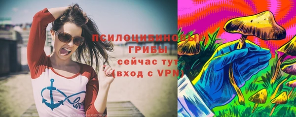 spice Богданович