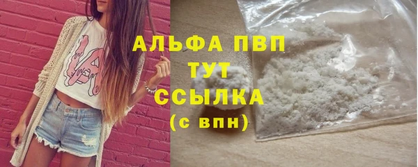 spice Богданович