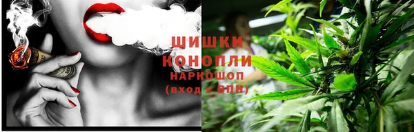 spice Богданович