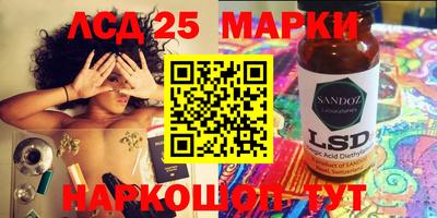 spice Тара